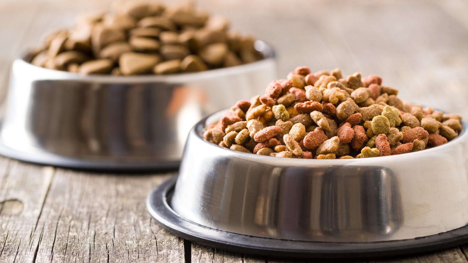 Petfood Formülasyonlarında Hipoalerjenik Protein Yaklaşımı